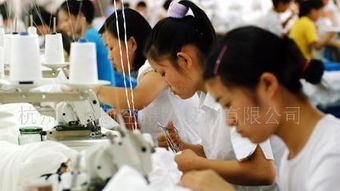 全程影像記錄與制作服務 為您呈現生產基地的每個精彩瞬間