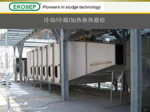 污泥干化處理技術(shù)及產(chǎn)品介紹 高溫?zé)岜脦礁苫に嚨难邪l(fā)與創(chuàng)新