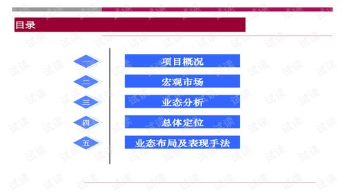 世聯(lián)重慶大型旅游地產(chǎn)項(xiàng)目策劃咨詢報(bào)告